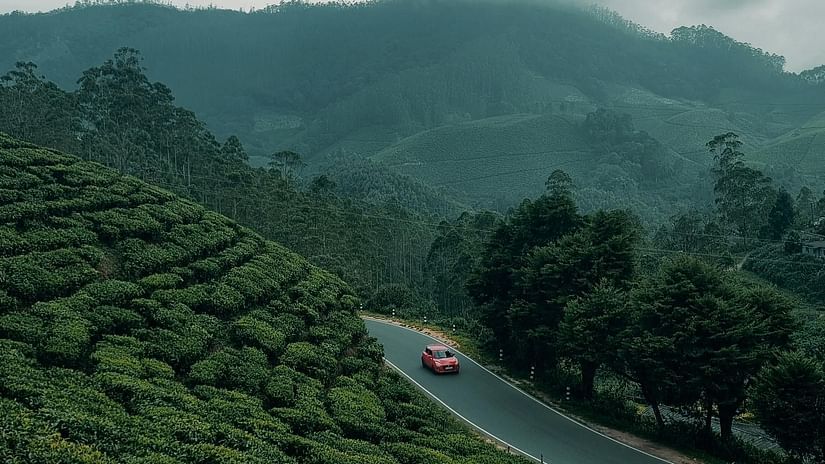 A shot of beautiful tea plantation , India, featuring lush greenery and stunning landscapes under bright sunlight.