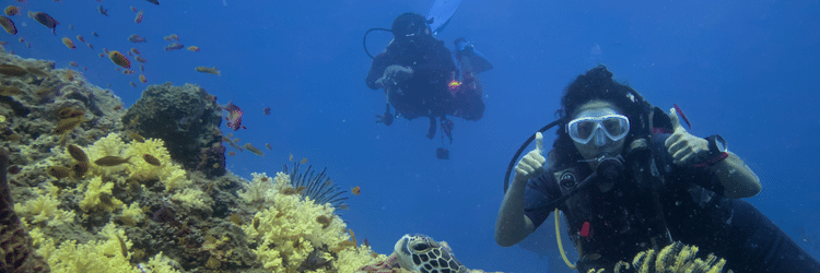 Two scuba divers underwater near a vibrant coral reef in Havelock, Andaman, with one giving a thumbs-up and a sea turtle resting on a coral head in the foreground.