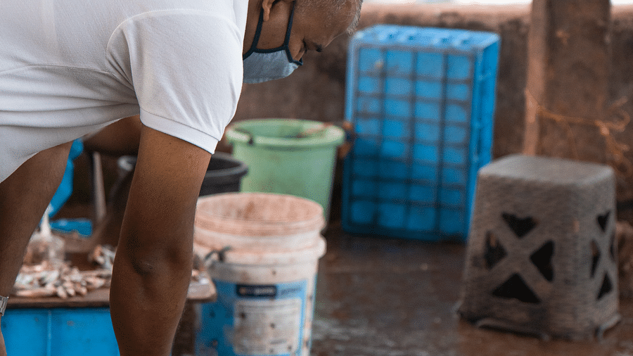 A person in a white t-shirt and light-coloured pants bends over a table covered with fish, appearing to clean or sort them. Blue baskets are visible behind them in what looks like a market setting.