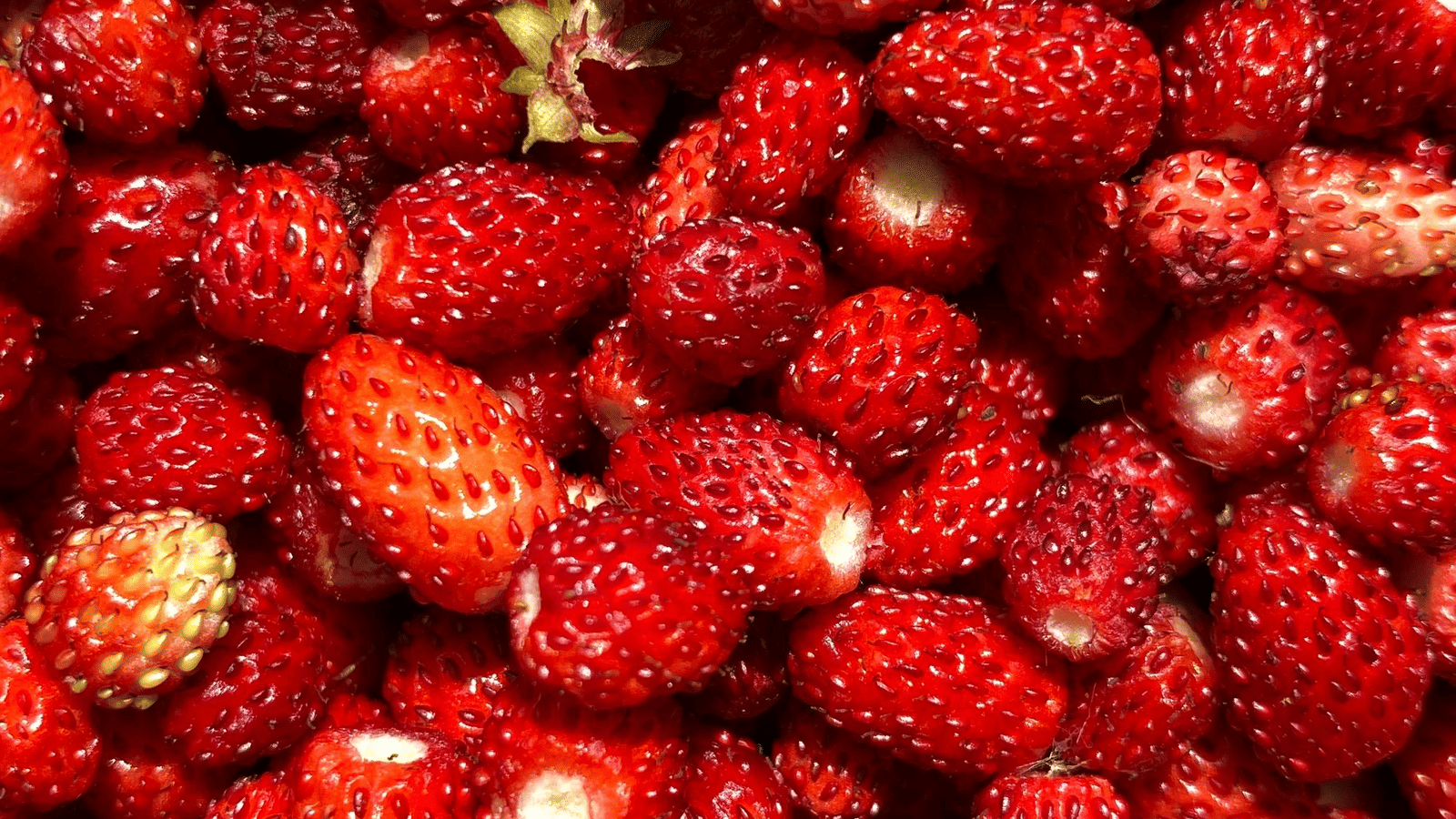 pexels-mukaddes-calis-1039931762-32797391