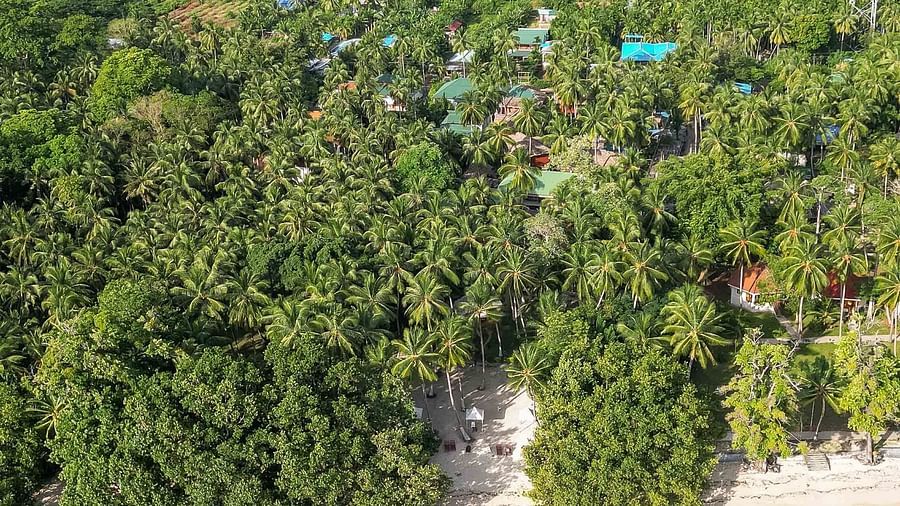  A bird’s-eye view of the resort, showcasing the natural beauty of the surrounding jungle and the calm, turquoise waters. The beach and nearby facilities are visible, surrounded by greenery - Coral Reef Resort & Spa, Havelock