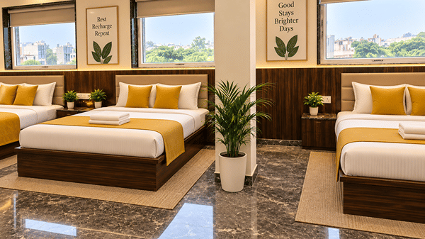 Twin room with yellow cushions, potted plants and large windows.