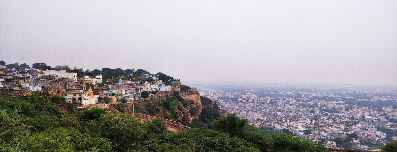 image of a city view from the mountains amidst lush greenery