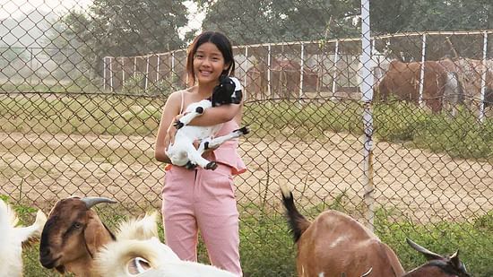 An image of a girl standing in a farm land amidst goats with a baby goat in her hand