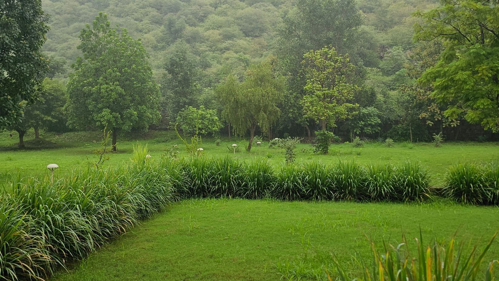 Landscape - Monsoon at Surya Bagh-2