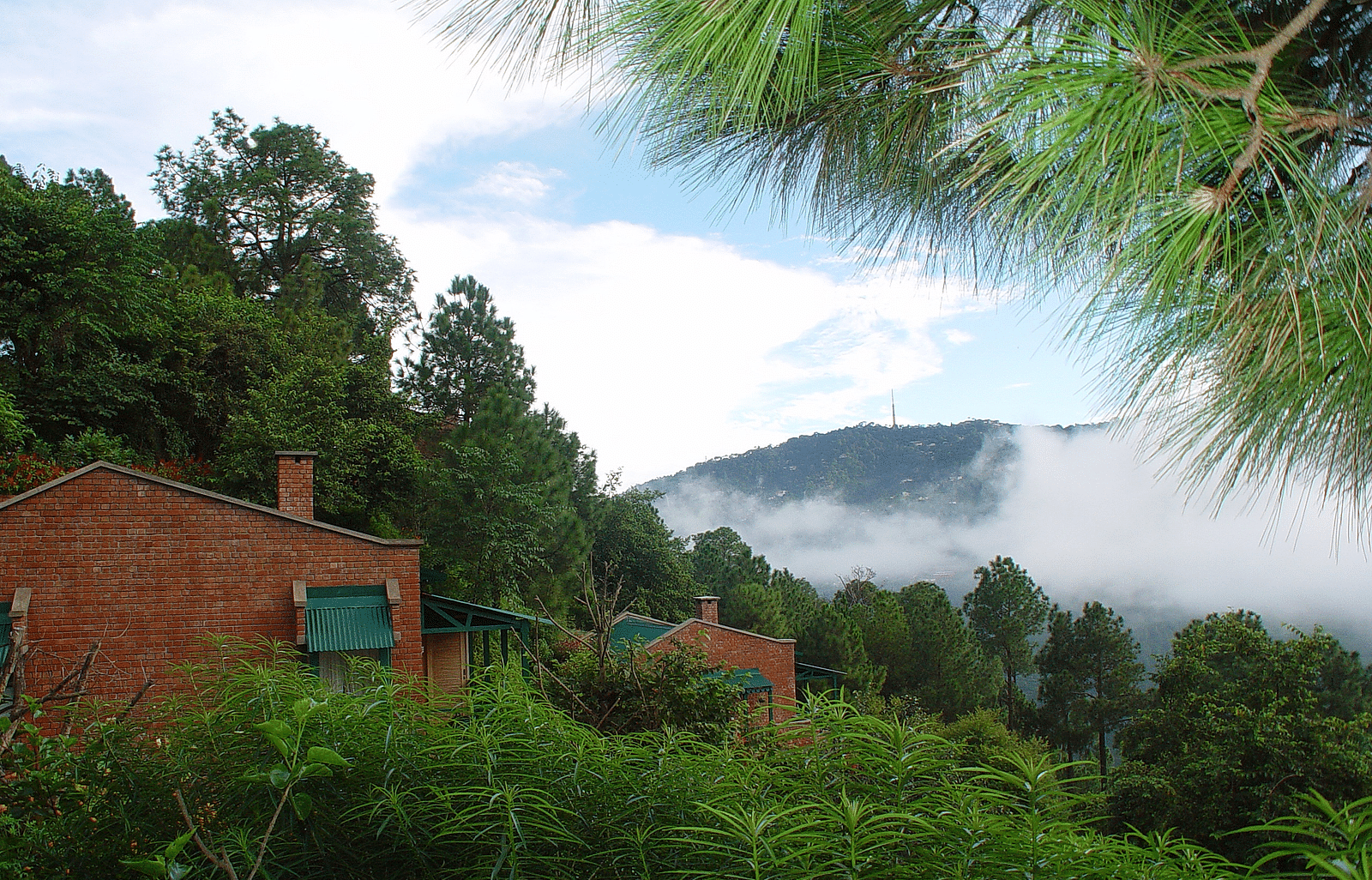 An exterior view of the with cloud and foliage and trees around Baikunth resort, kasauli 