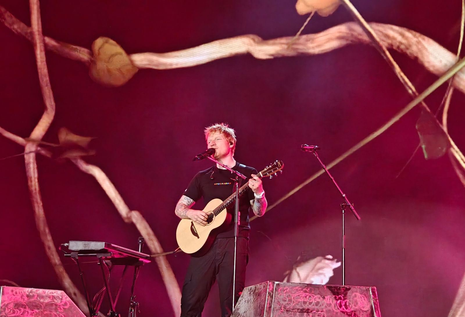 A musician ( Ed Sheeran) performs on a dimly lit stage, playing an electric guitar and singing into a microphone. Abstract, organic shapes hang above the performer, illuminated stage lighting.