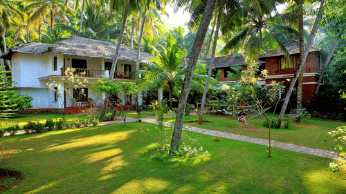 An overview of the rooms' facade next to coconut trees - Abad Harmonia, Kovalam.