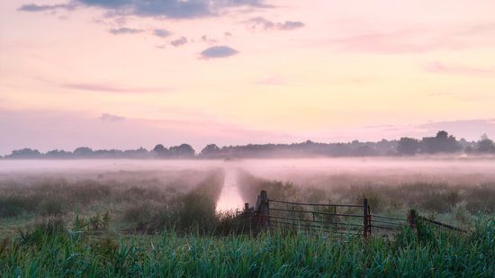 Mist and Grasslands: Experiencing Tadiandamol in the Clouds 