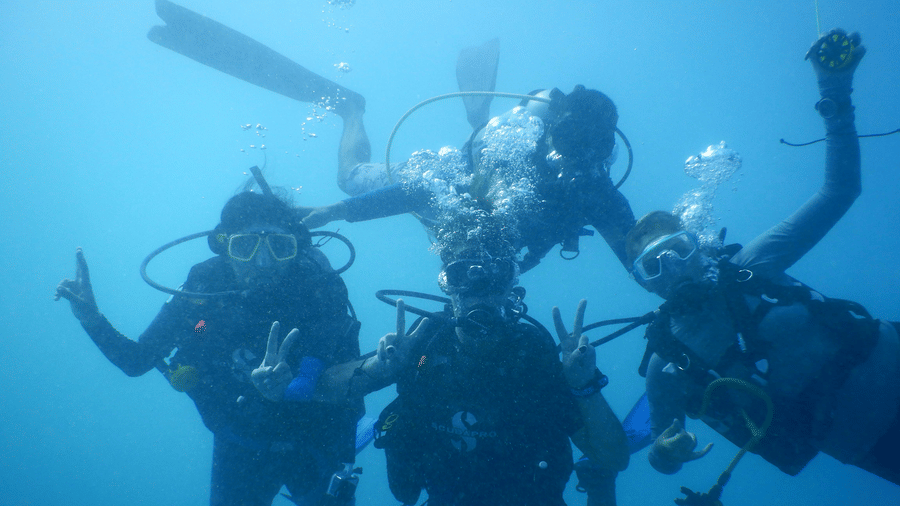 pexels-debal-das-7970793