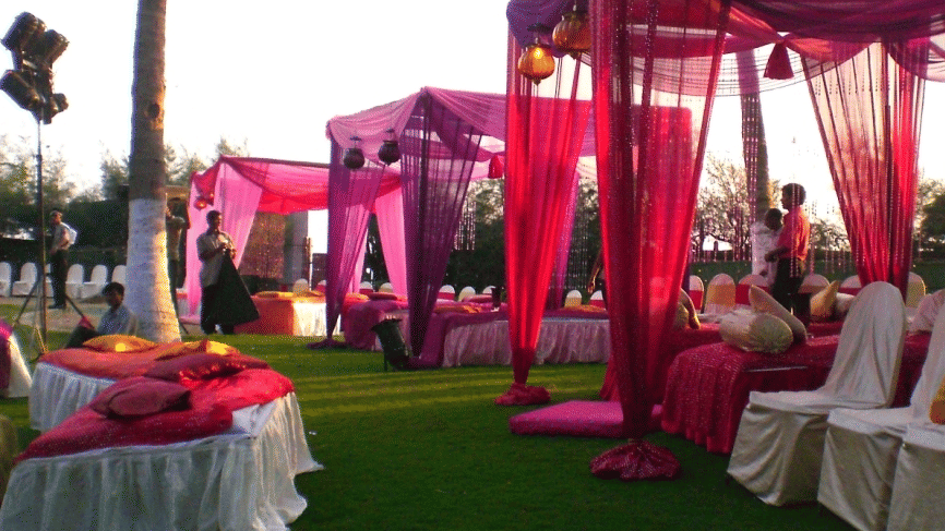 An outdoor event setup with pink and purple fabric canopies, white-covered chairs, round tables, and palm trees in the background.