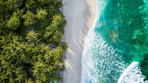 nattu-adnan-DrNeiD7Oqes-unsplash