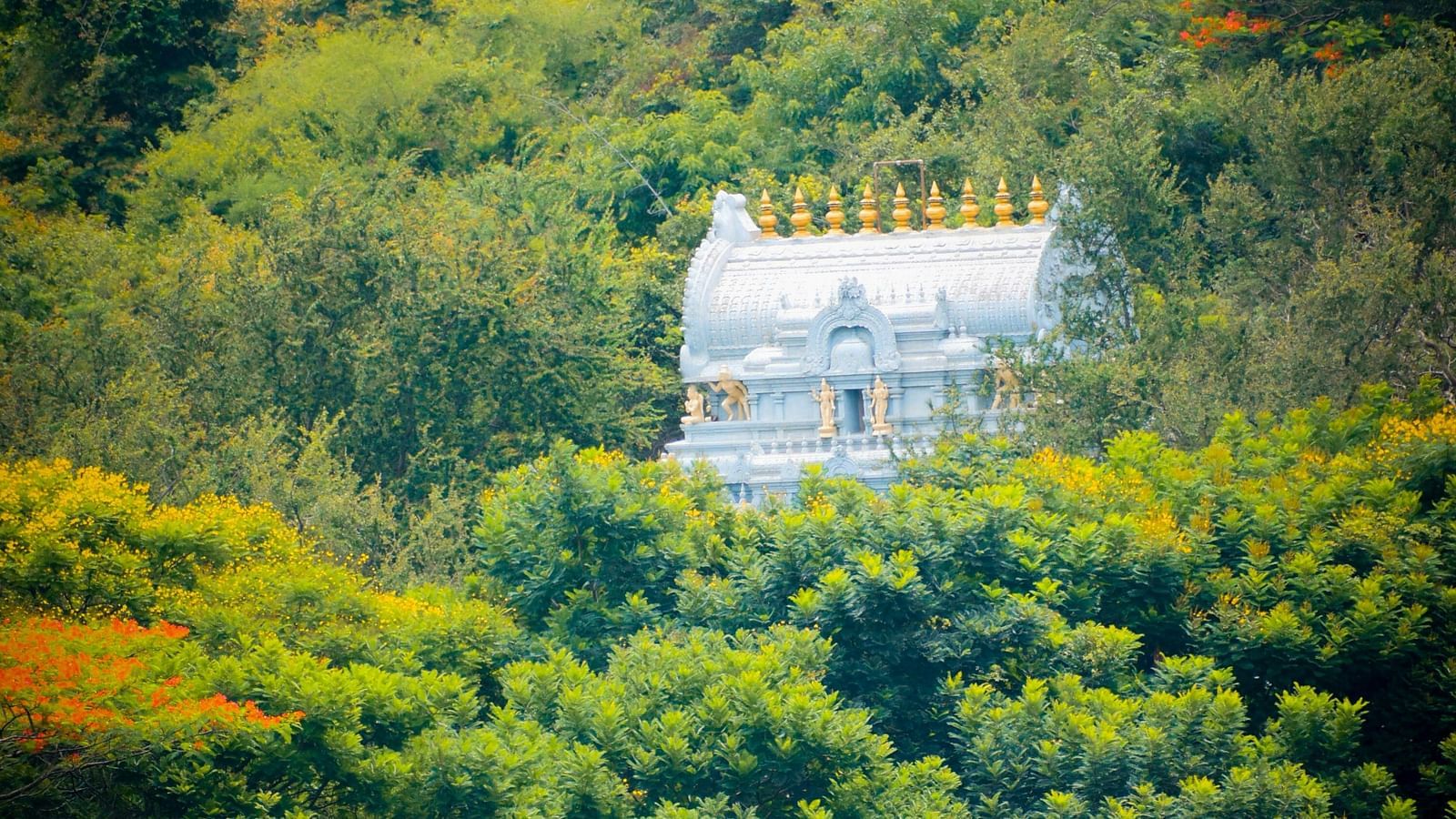 Picture featuring a temple amidst a forest in the day time.