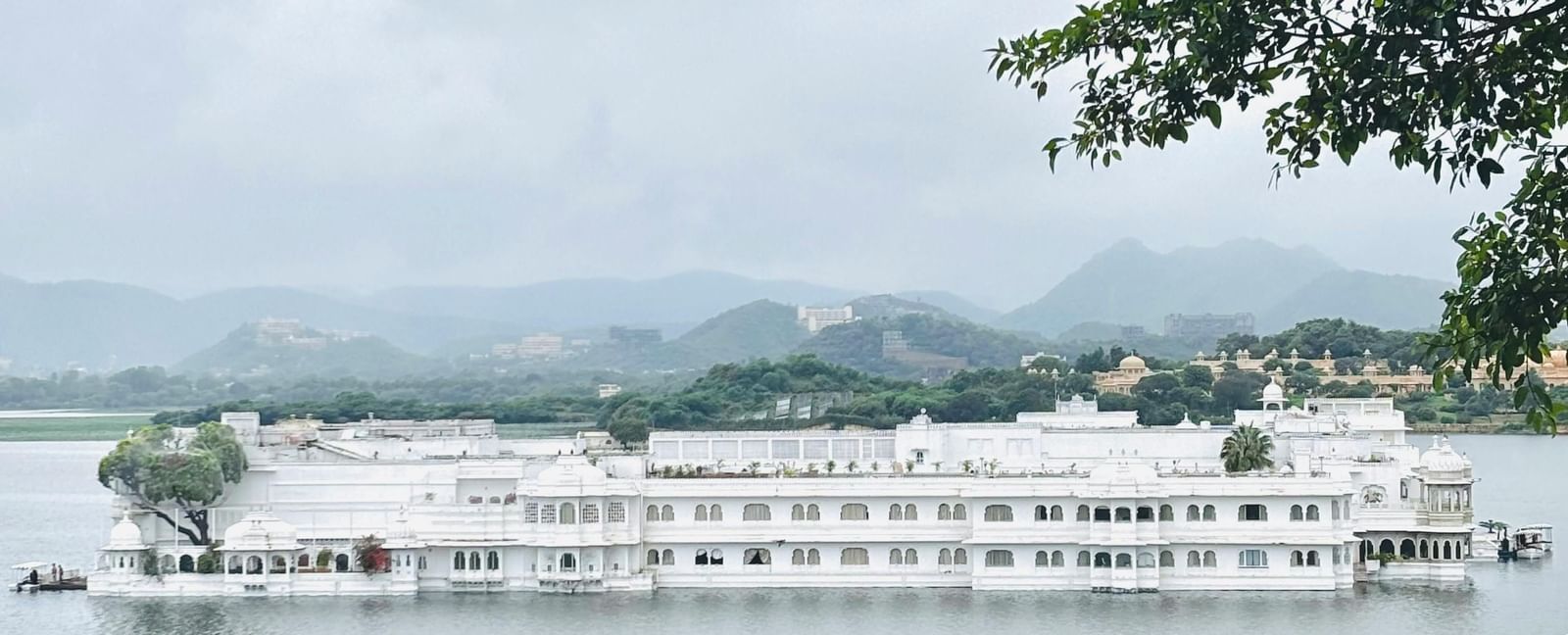 Long view of Jag Mandir under a cloudy sky framed by branches of a tree.