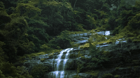 A scenic waterfall cascades down a lush, green hillside surrounded by dense forest under a cloudy sky.