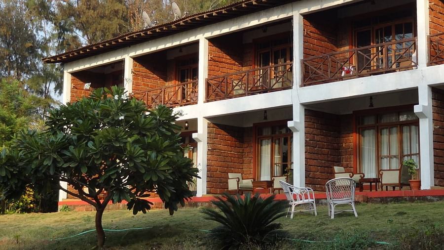 exterior of a cottage surrounded by greenery