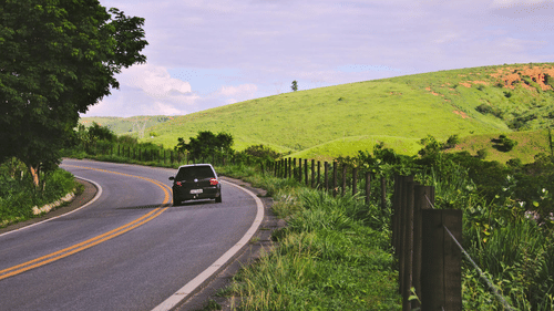 Image of a car on the road with plants on the side.