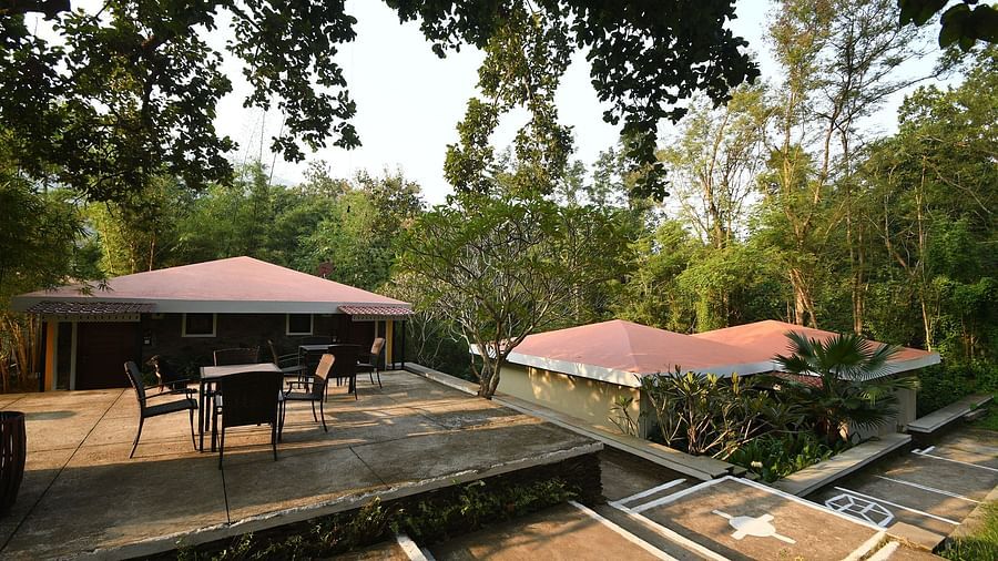 Sal Deck 3