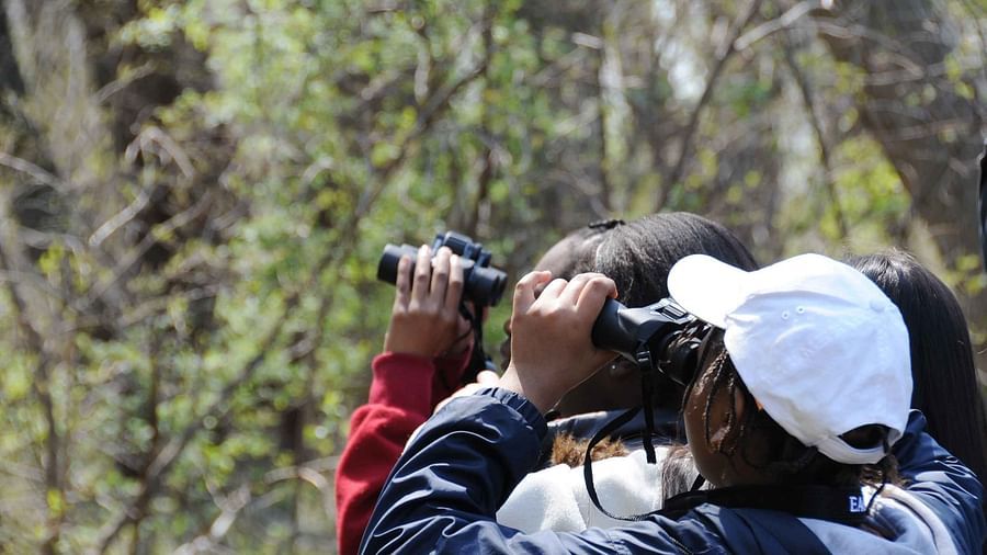 Ojaswi Resort, Chaukori Chaukori Bird Watching Activities at Ojaswi Resort Chaukori