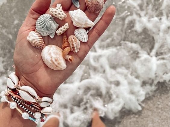 seashells, hand, seawaves