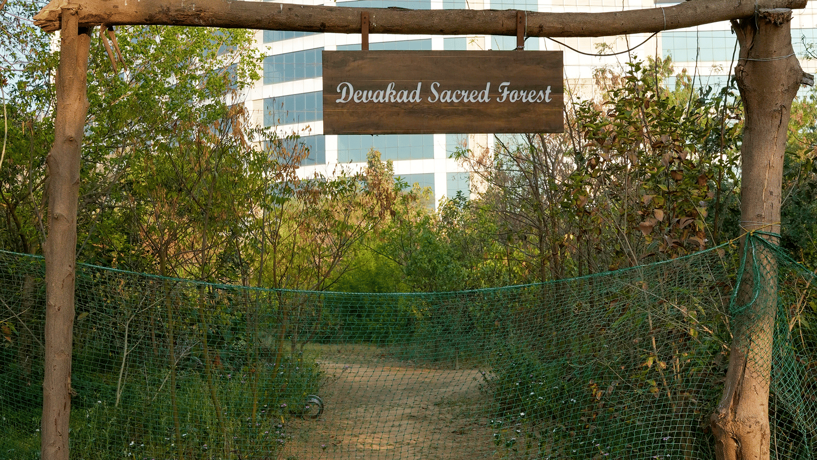 devakad-forest-1