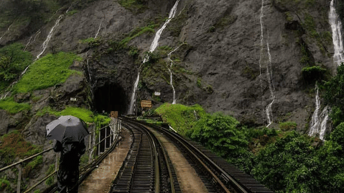 mist-covered hills surrounded by greenery