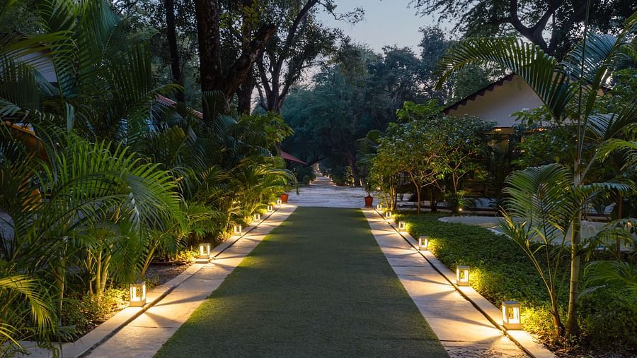 image of a path way with backyard lights in the side of the pathway at aranya vilas