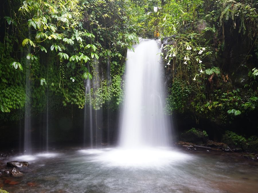 a view of a waterfall surrounded by trees 