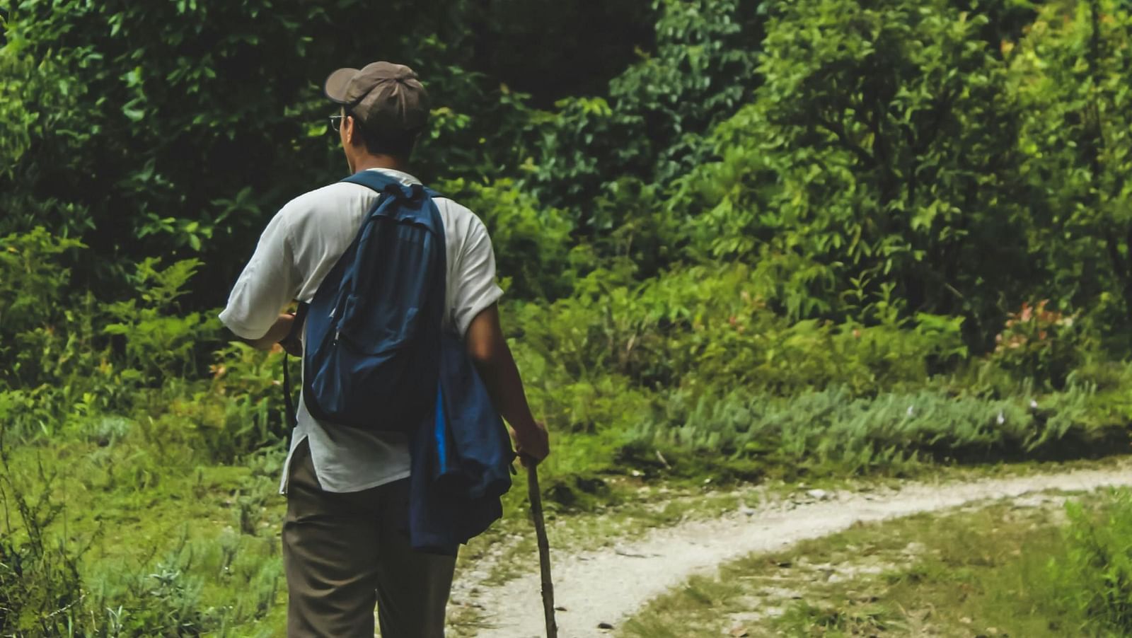 A person trekking on a hilly region with trees all around.
