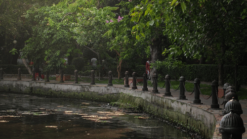 Peaceful lakeside walking trail surrounded by mature trees and greenery.