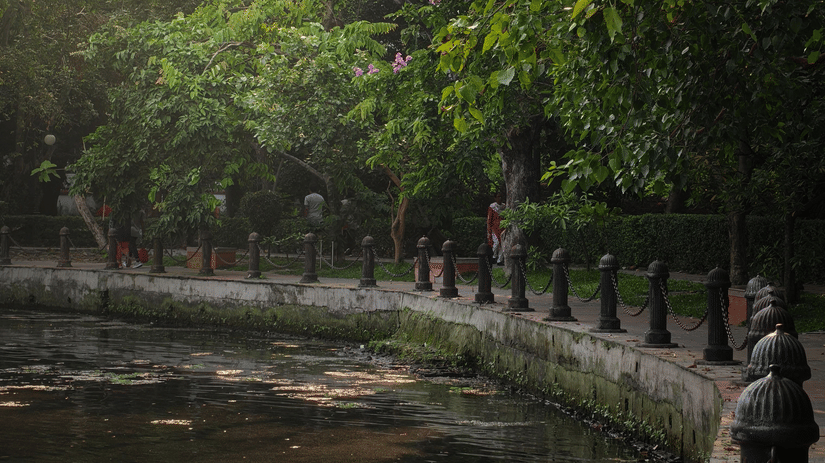 Peaceful lakeside walking trail surrounded by mature trees and greenery.