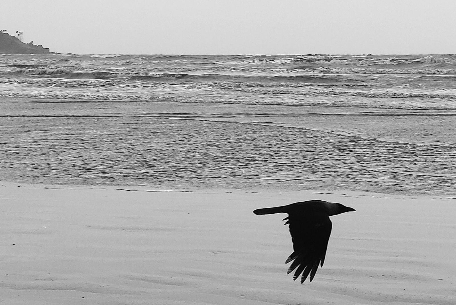 A gray-scale image of a bird flying across the ocean.