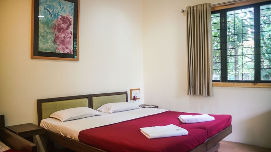 Tree Top Interior - Sajan -Elevated Tree Top AC Rooms at Nature Trails Sajan, surrounded by lush greenery and scenic views.