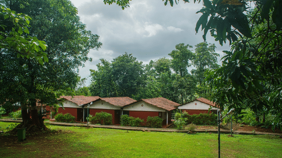 A row of small cottages sits in a grassy clearing, surrounded by lush trees under a cloudy sky.