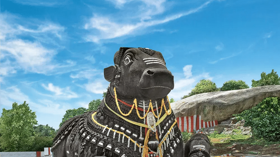 Majestic stone Nandi Bull statue at the Bull Temple, surrounded by trees and traditional architecture.