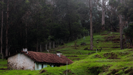 A lush green forest in the hill and amidst it there is a hut style house.