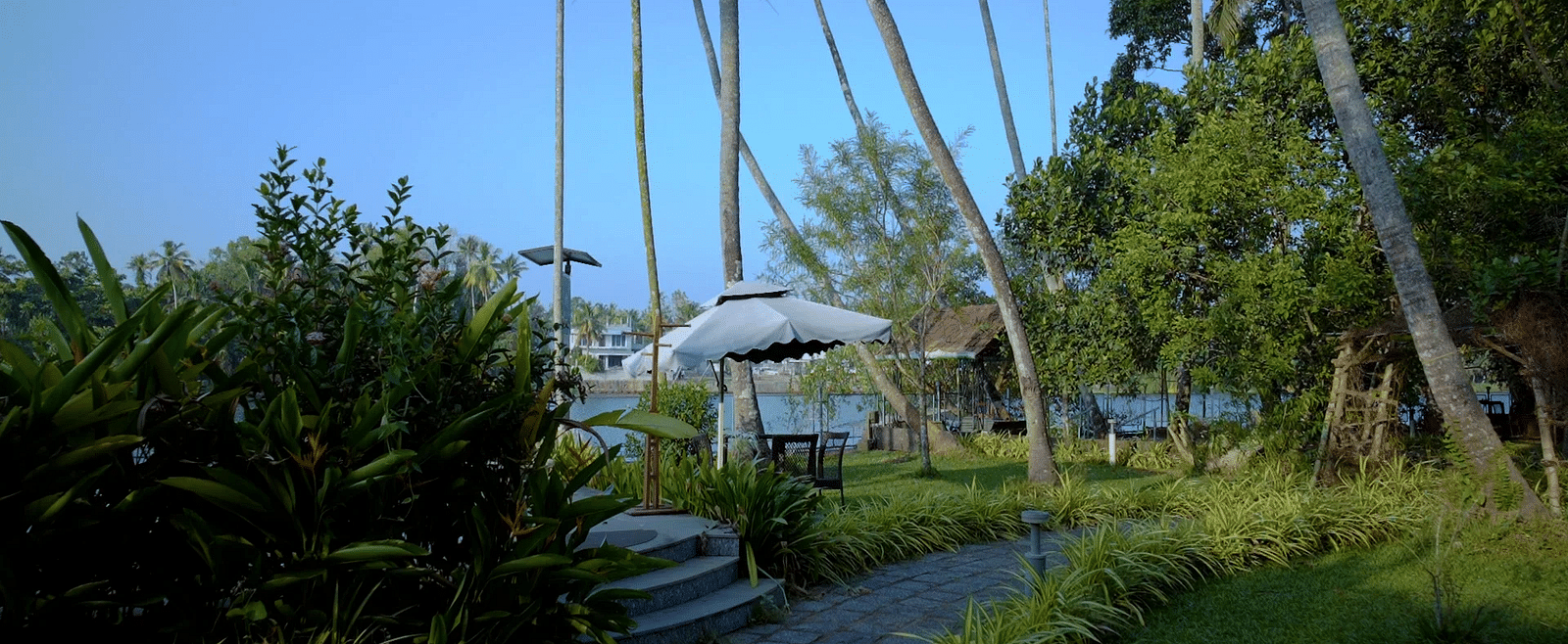 A paved pathway leading through a tropical landscape with palm trees and greenery.