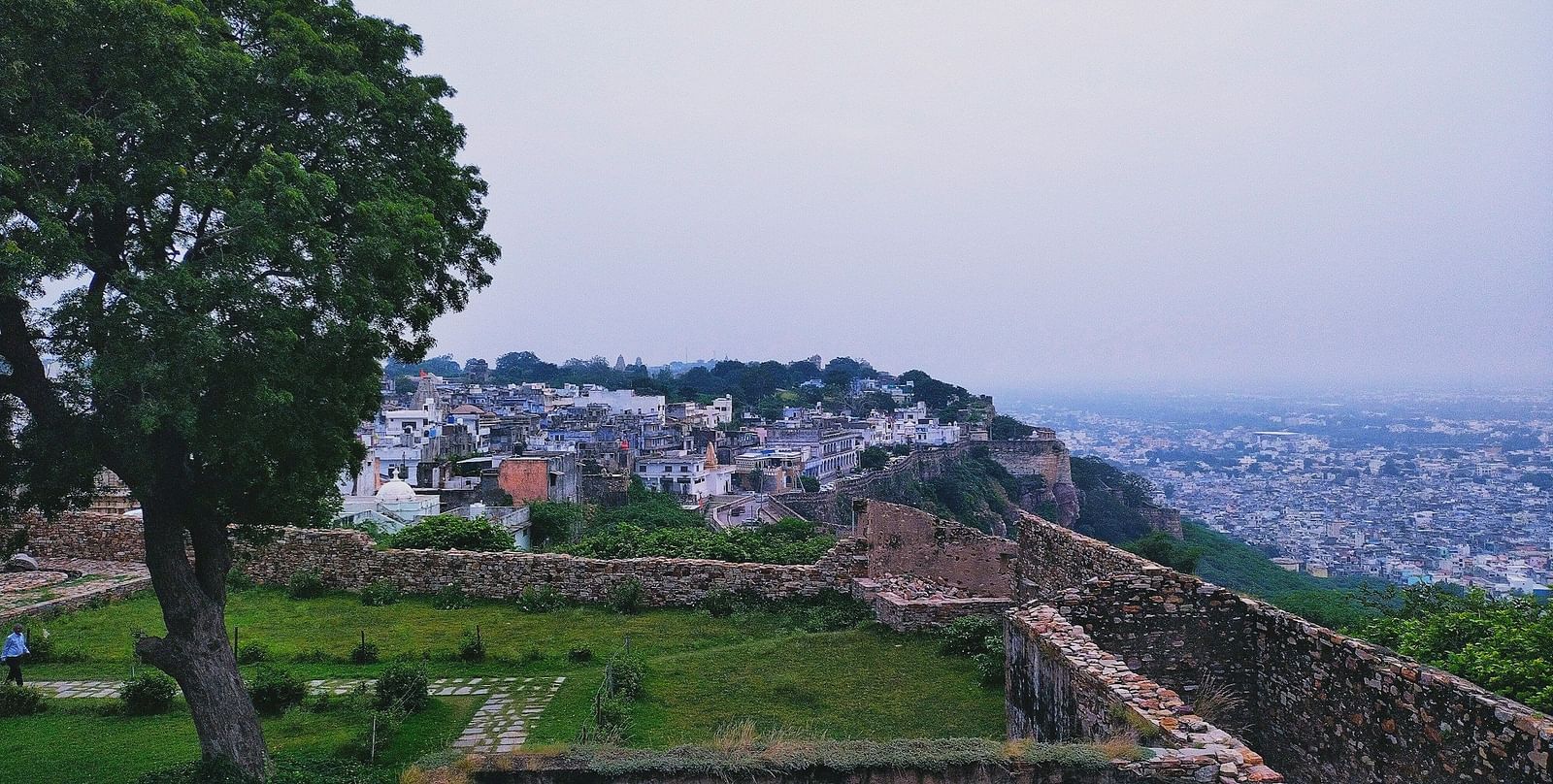 image featuring a tree and a lawn inside a fort