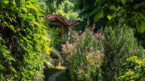 a pathway in between many shrubs and trees - neer ganga resorts