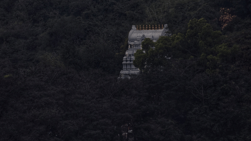 Tirupati Balaji Temple as seen from afar with forest enveloping it on all sides