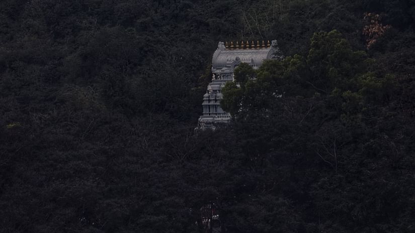 a temple enveloped by the forest with intricate carvings on the roof