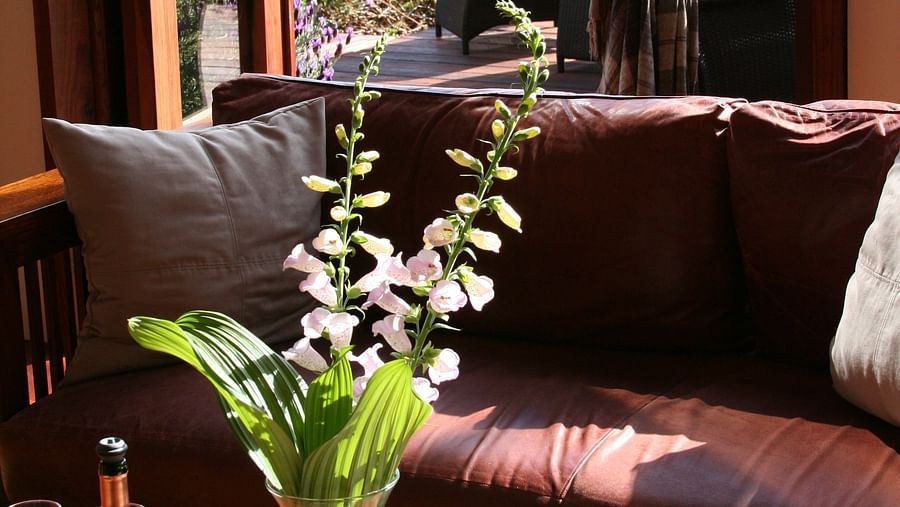 A close up of Fresh flowers in the great room with a couple in the background - Brewery Gulch Inn & Spa