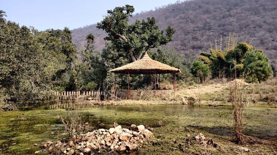 Surya Bagh - River2