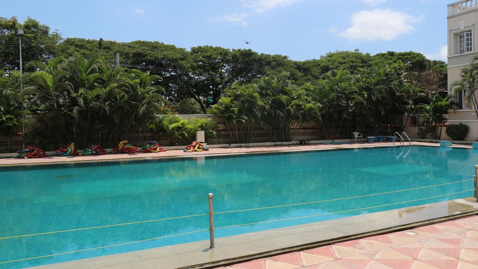 Outdoor rooftop swimming pool at Jenneys Residency, surrounded by lush trees and open sky for a serene escape