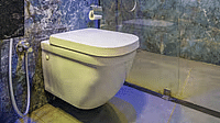 A washroom with a toilet and shower area at Hotel Altitude, Madikeri.