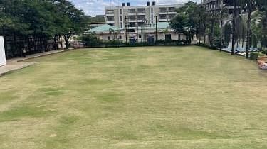 20 - Solitaire Lawn