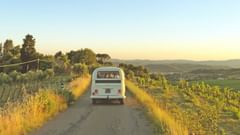 A car driving in a scenic landscape of green grass surrounded by trees