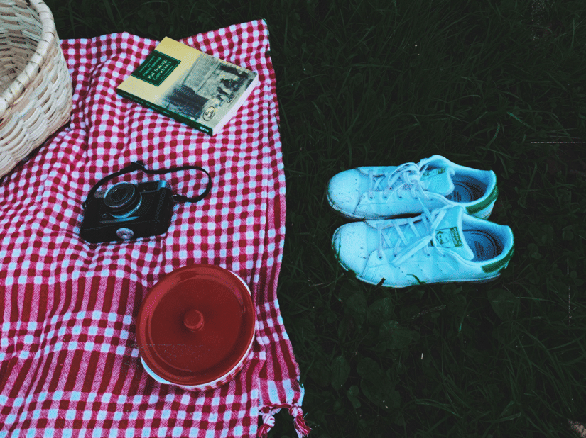 Picnic blanket with a basket, camera, book, and picnic essentials spread across a grassy lawn.