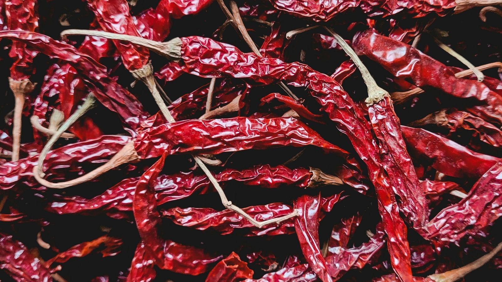 Top view of many dry chillies that are used to add flavour to Rajasthani cuisine