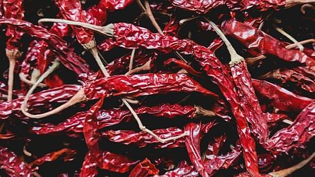 Top view of many dry chillies that are used to add flavour to Rajasthani cuisine